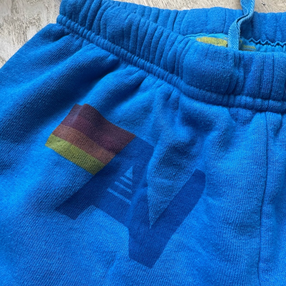 Aviator Nation Blue sweatshirt and sweatpants SET!!! - Picture 8 of 12